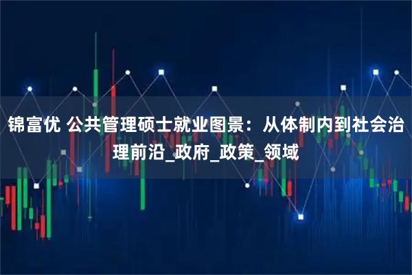 锦富优 公共管理硕士就业图景：从体制内到社会治理前沿_政府_政策_领域