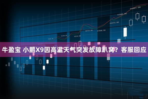 牛盈宝 小鹏X9因高温天气突发故障趴窝?客服回应