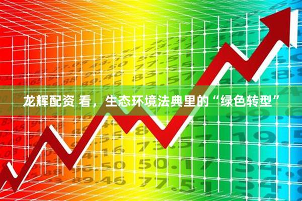 龙辉配资 看，生态环境法典里的“绿色转型”
